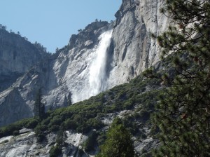 DSCF3768