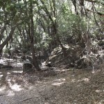 DSCF3771