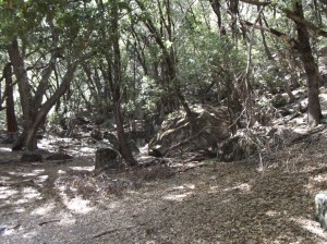 DSCF3771