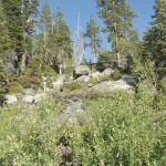 DSCF3807