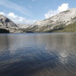 DSCF3811