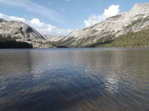DSCF3811
