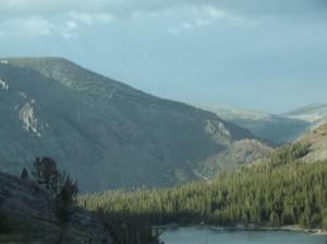DSCF3822