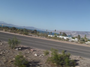 DSCF3874
