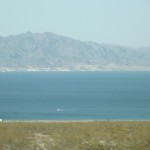 DSCF3878