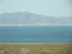 DSCF3878 DSCF3878