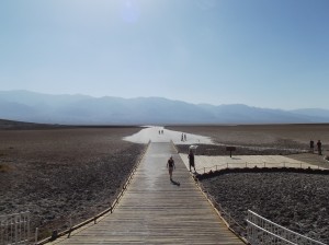 DSCF3914