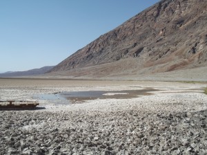 DSCF3916