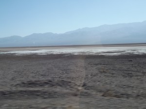 DSCF3924